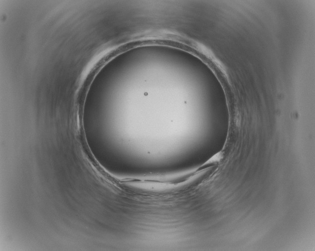 X0000075401368200609291631