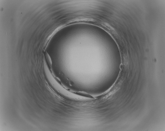 X0000075401369200609291631