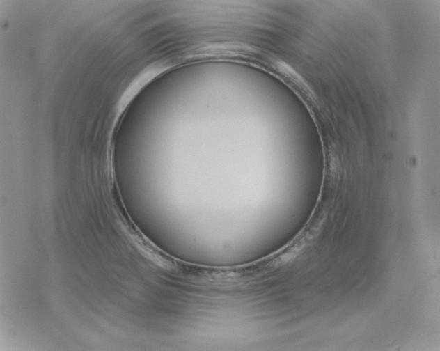 X0000075401370200609291630