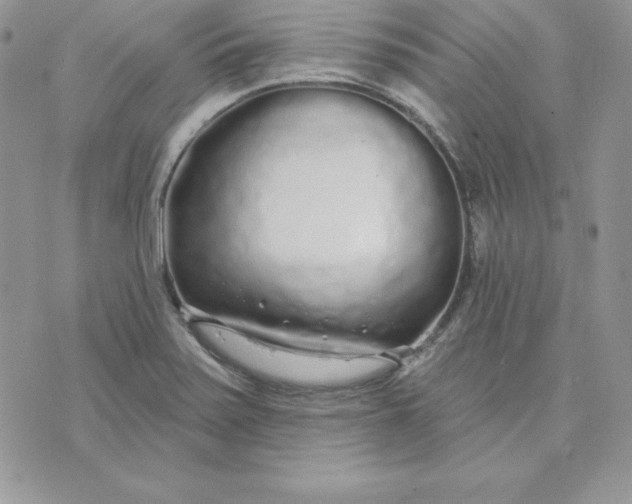 X0000075401371200609291630