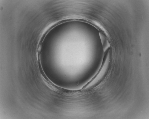 X0000075401372200609291630