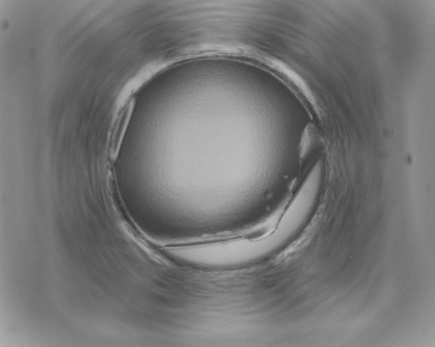 X0000075401373200609291630