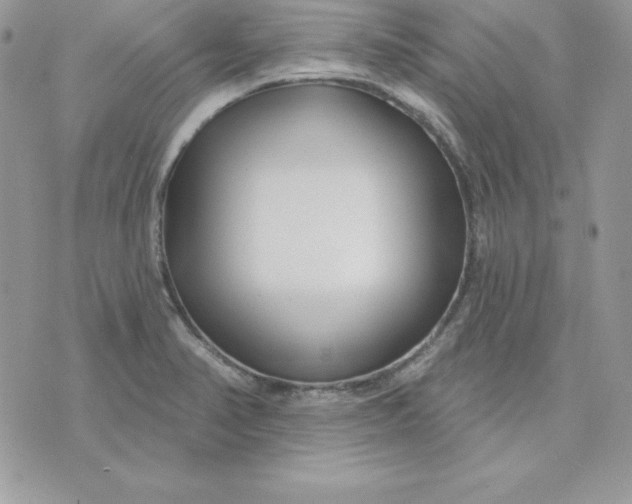 X0000075401374200609291630