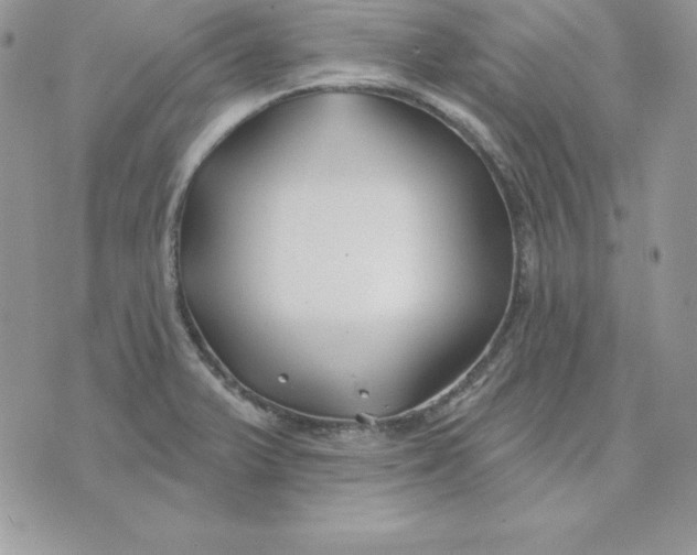 X0000075401375200609291630