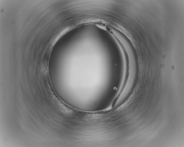 X0000075401377200609291630