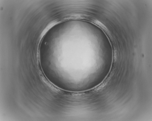 X0000075401378200609291630