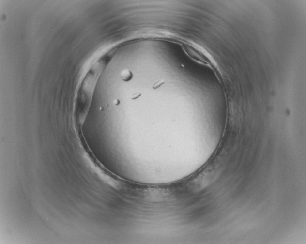 X0000075401379200609291630