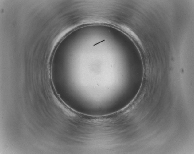 X0000075401380200609291630