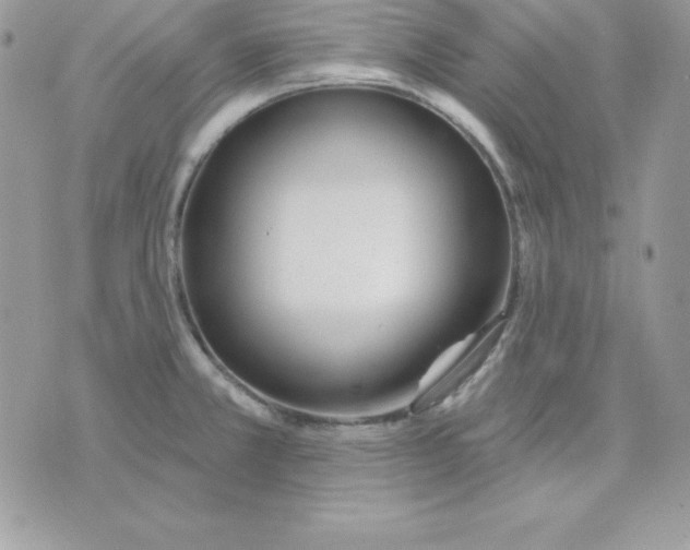 X0000075401381200609291630