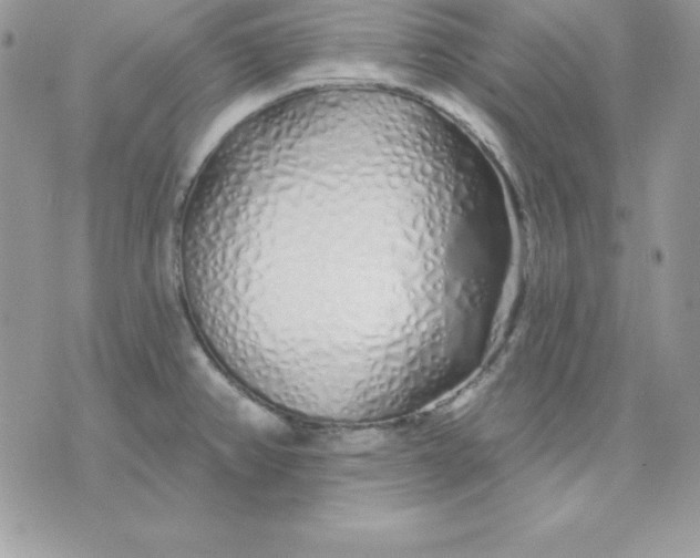 X0000075401382200609291630