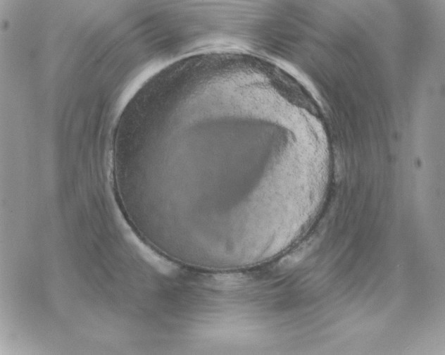 X0000075401383200609291630