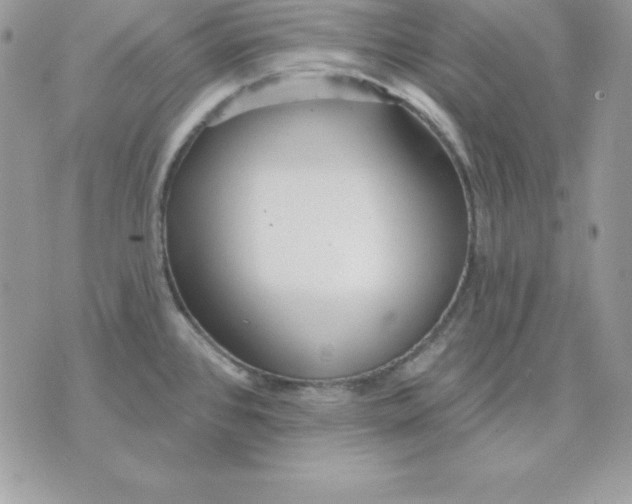 X0000075401384200609291630