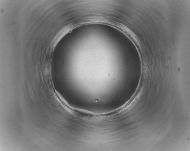 X0000075401385200609291630