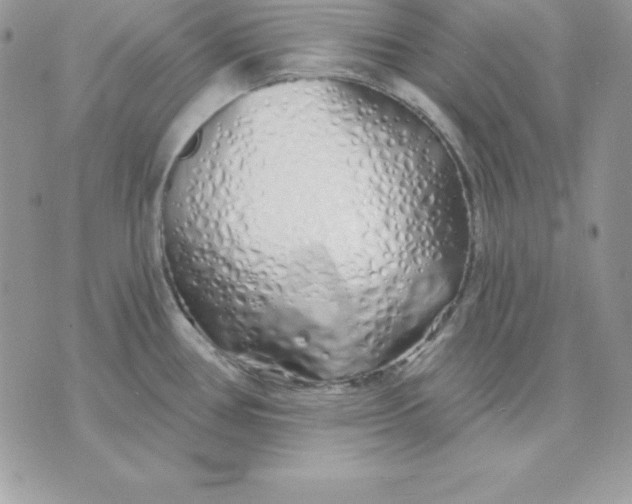 X0000075401386200609291630