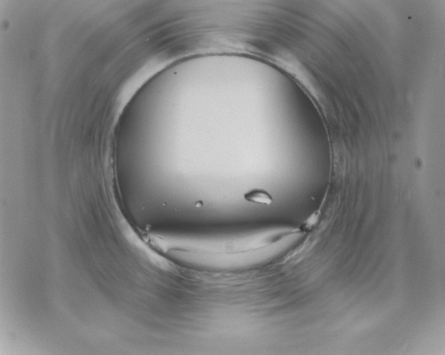 X0000075401387200609291630