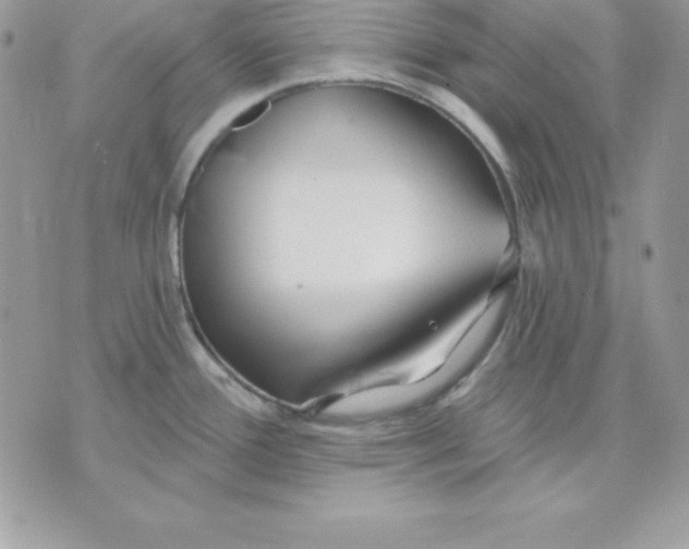 X0000075401388200609291630