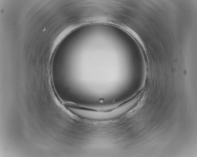 X0000075401389200609291630