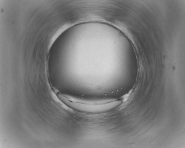 X0000075401390200609291630