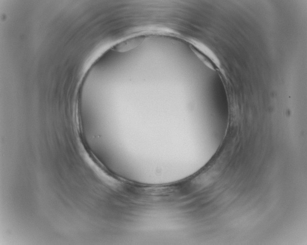 X0000075401391200609291630