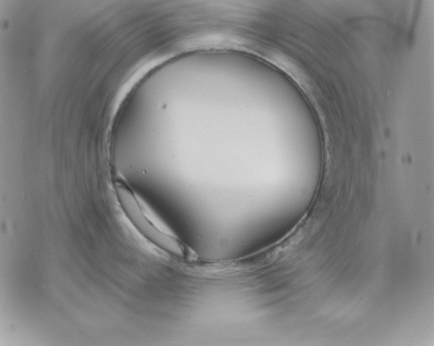 X0000075401392200609291630