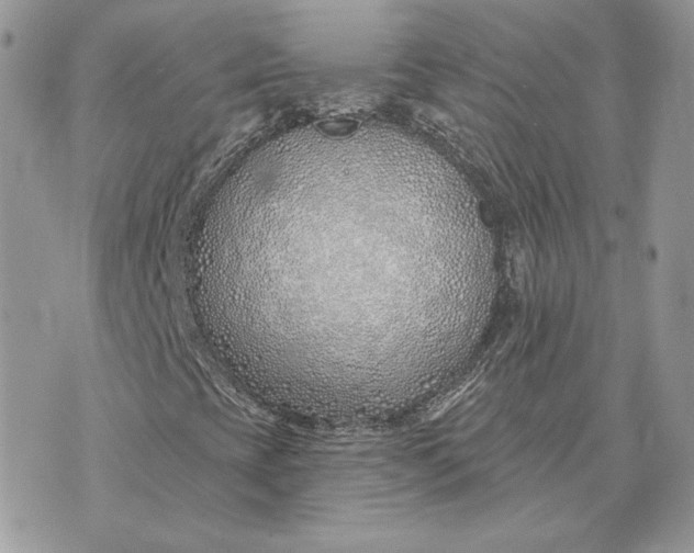 X0000075401393200609291629