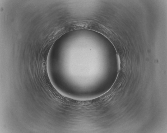 X0000075401394200609291629