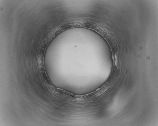 X0000075401395200609291629