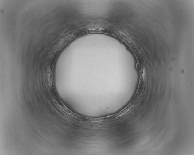 X0000075401396200609291629