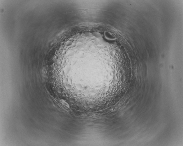 X0000075401397200609291629