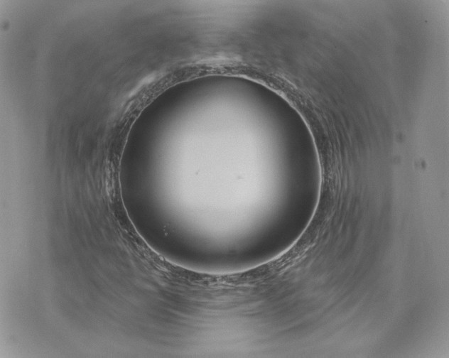 X0000075401398200609291629