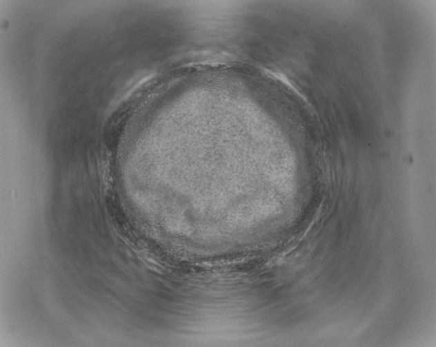 X0000075401399200609291629