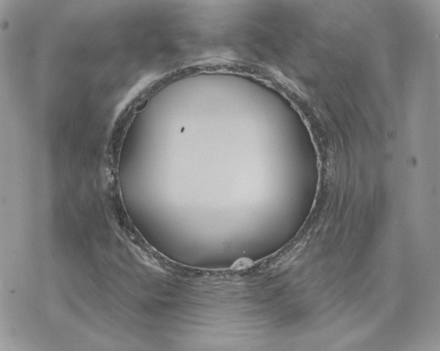 X0000075401400200609291629