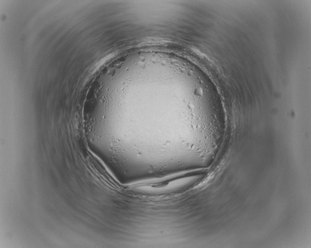 X0000075401401200609291629