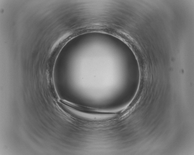 X0000075401402200609291630