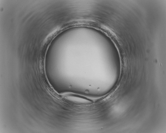 X0000075401403200609291630