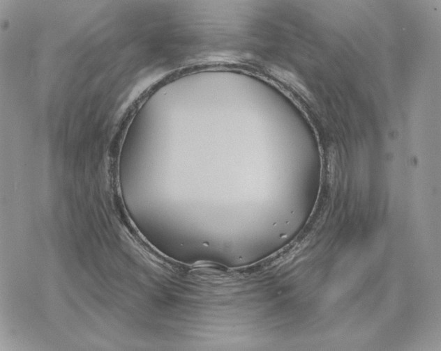 X0000075401404200609291630