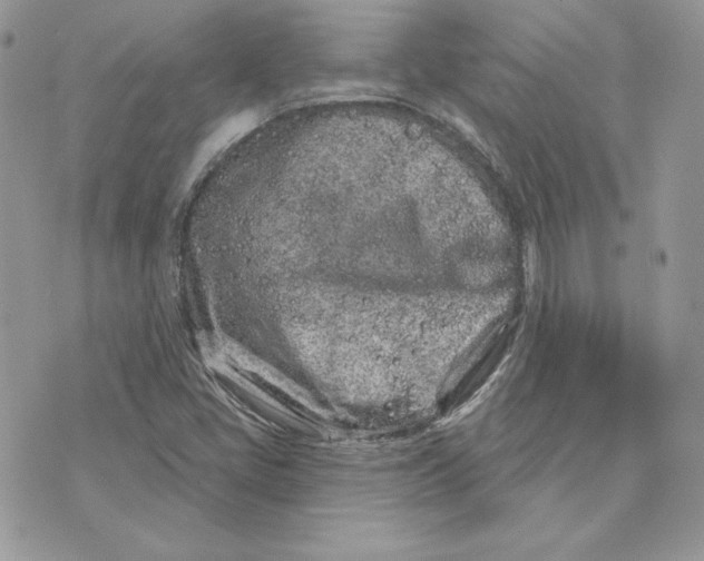 X0000075401405200609291630