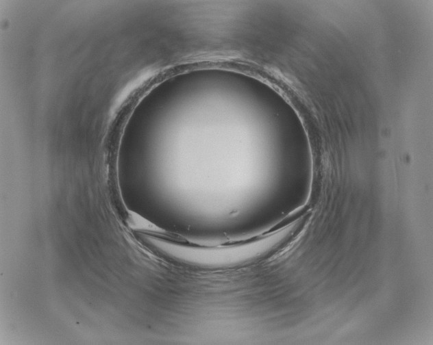 X0000075401406200609291630