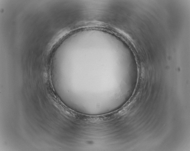 X0000075401407200609291630