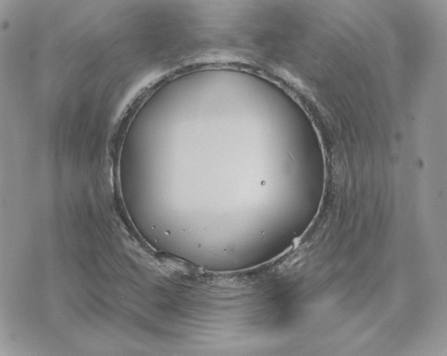 X0000075401408200609291630