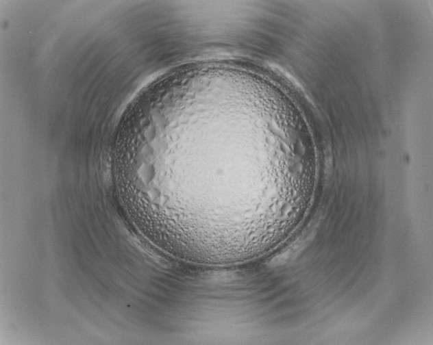 X0000075401409200609291630