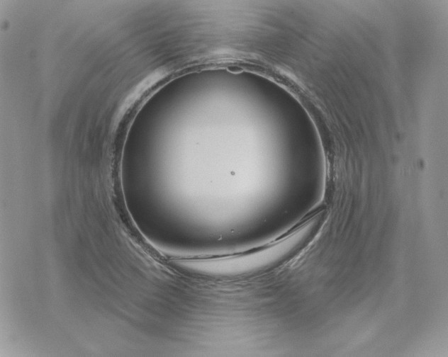 X0000075401410200609291630