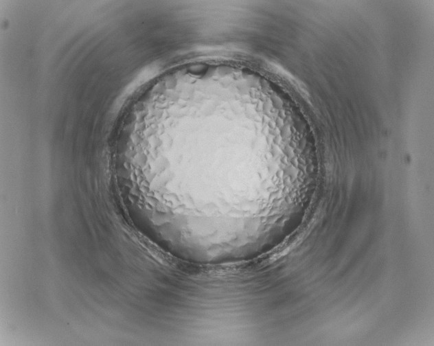 X0000075401411200609291630