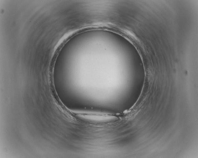 X0000075401412200609291630