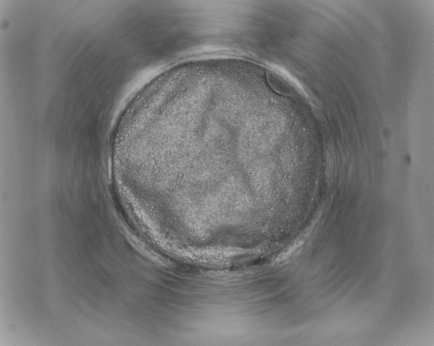 X0000075401413200609291630