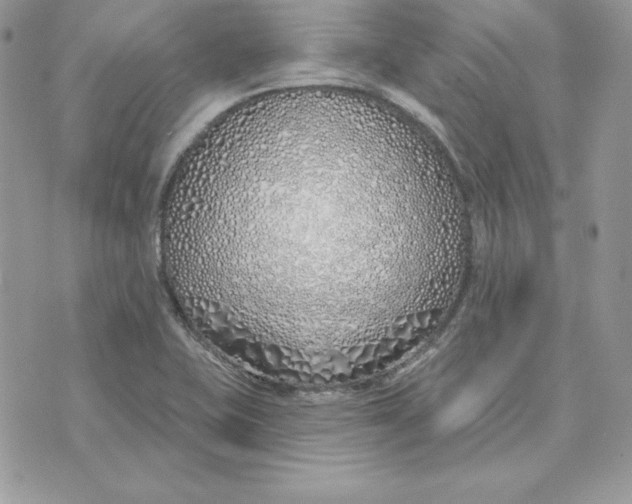 X0000075401415200609291630