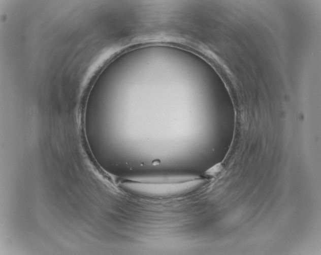 X0000075401416200609291630