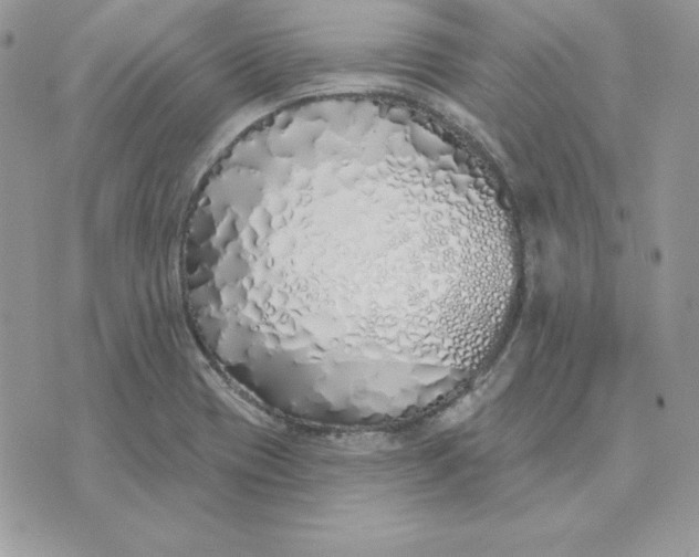 X0000075401417200609291630