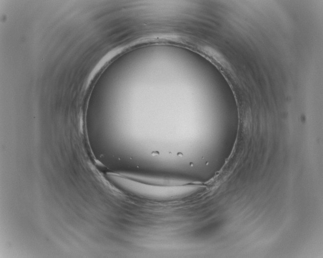 X0000075401420200609291630