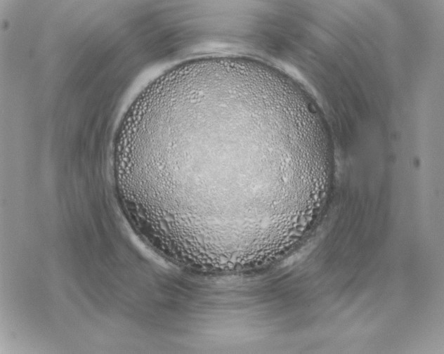 X0000075401421200609291630